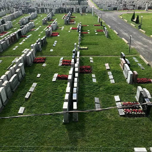 Rows of headstones on green grass in a cemetery, seen from above